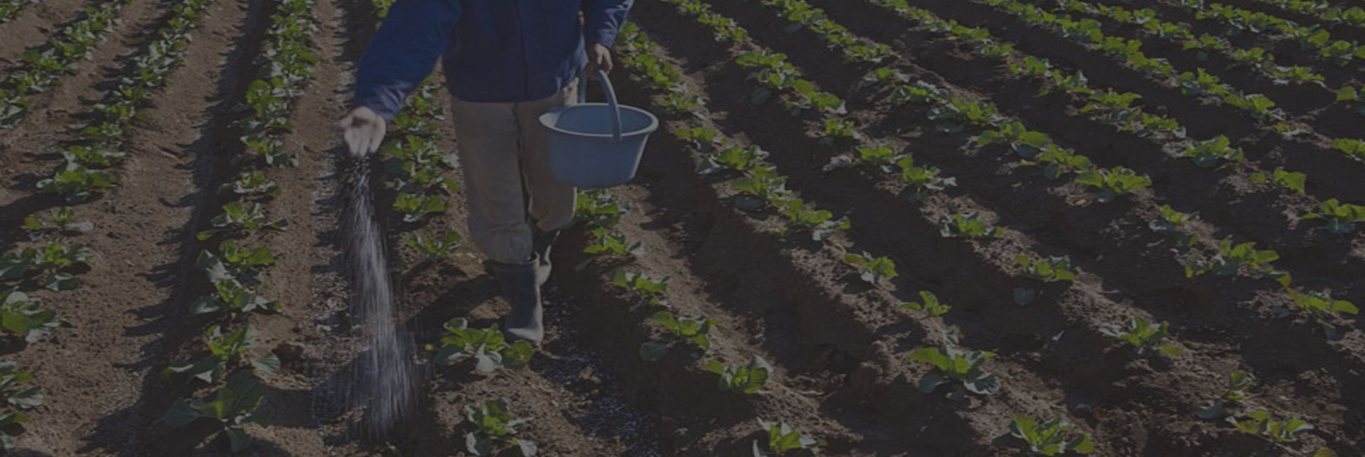 Equipos personalizados e inteligentes CIC en industrias de fertilizantes y granulación